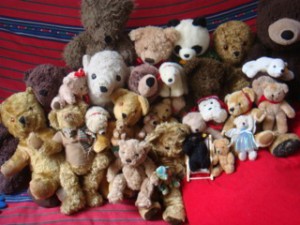 Olivia Schofield's bears collection